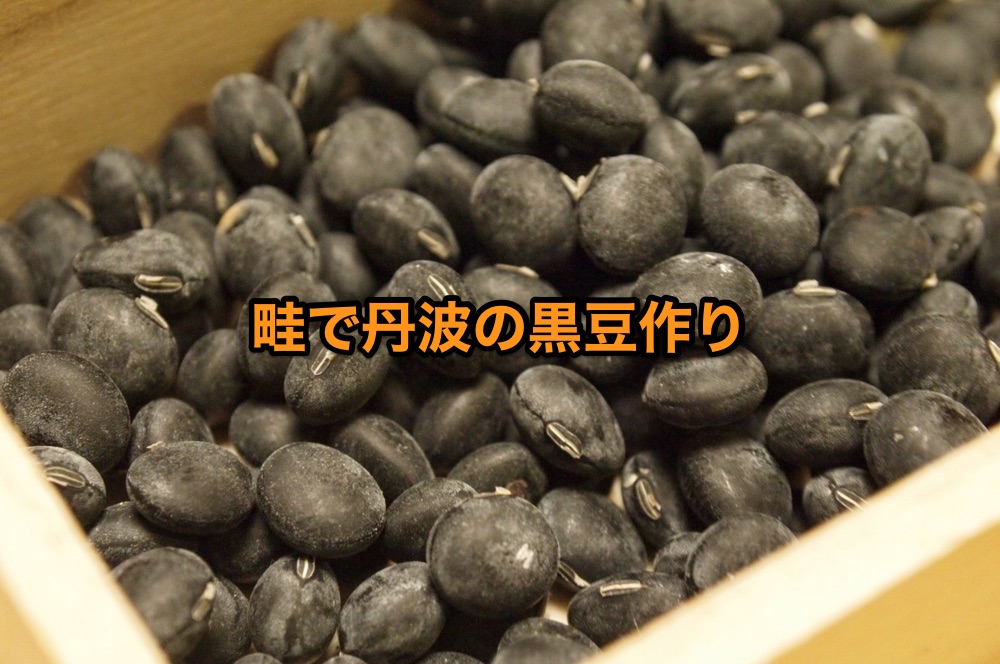 国産黒大豆